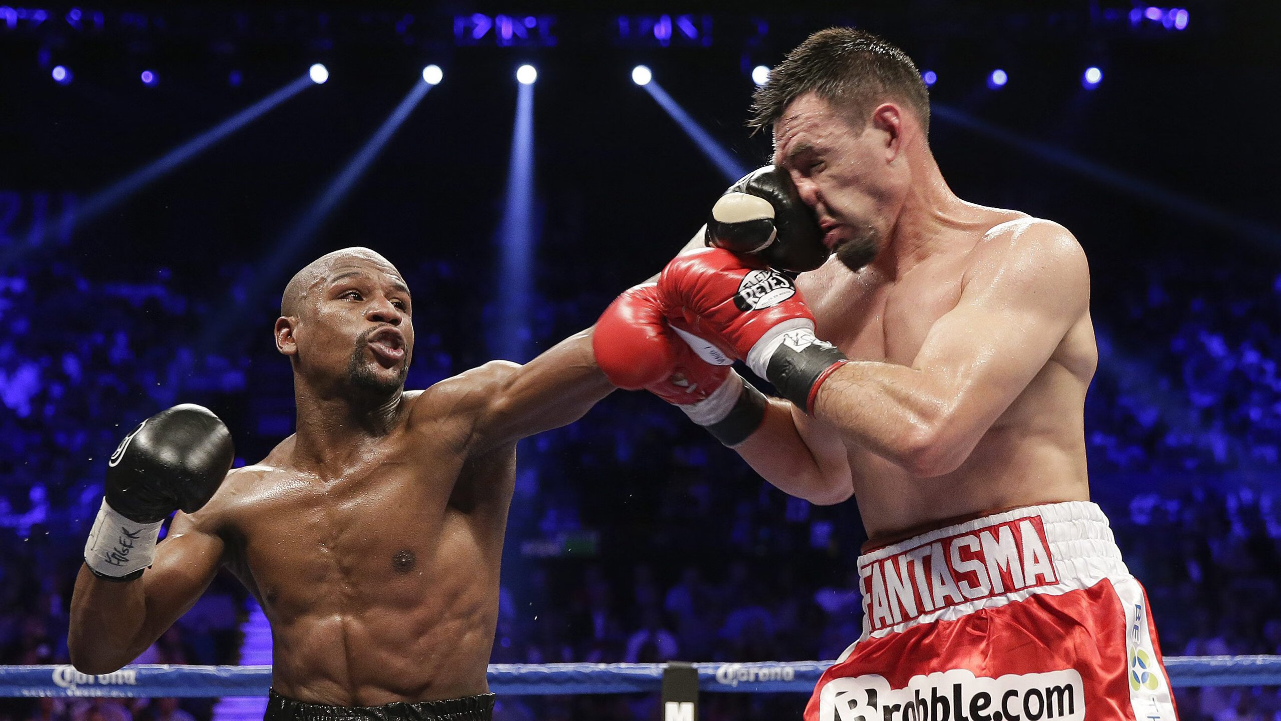 体育政策新规出台,全民健身计划升级,职业联赛改革加速